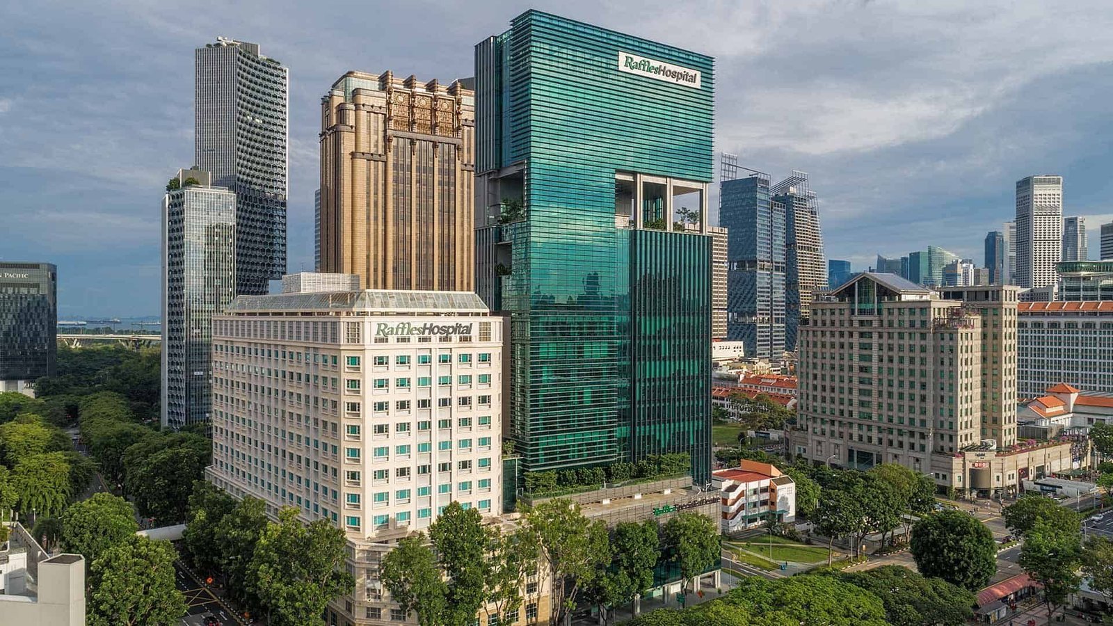 raffles medical singapore